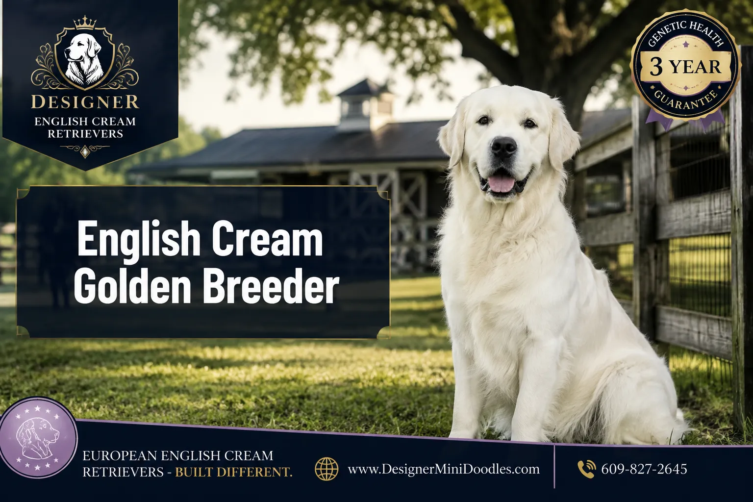 english cream golden retriever breeder