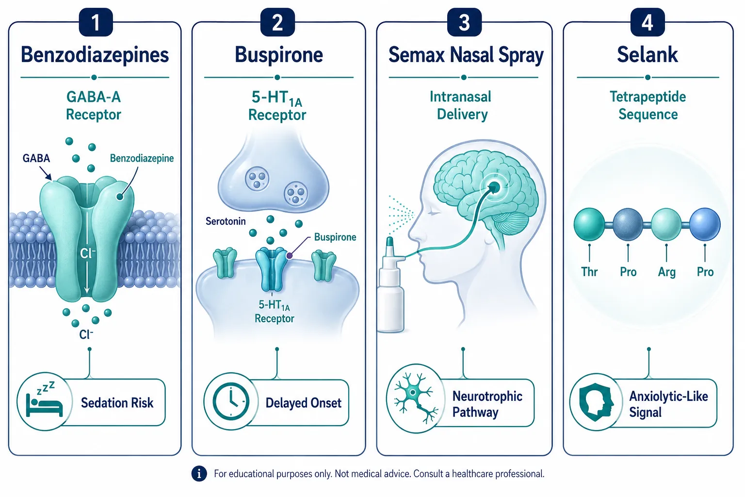 Mechanistic Foundations: Where the Research Models Diverge