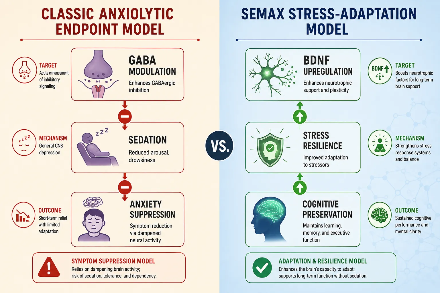 How Semax Nasal Spray Research Differs From Buspirone and Benzodiazepine Models in Preclinical Settings