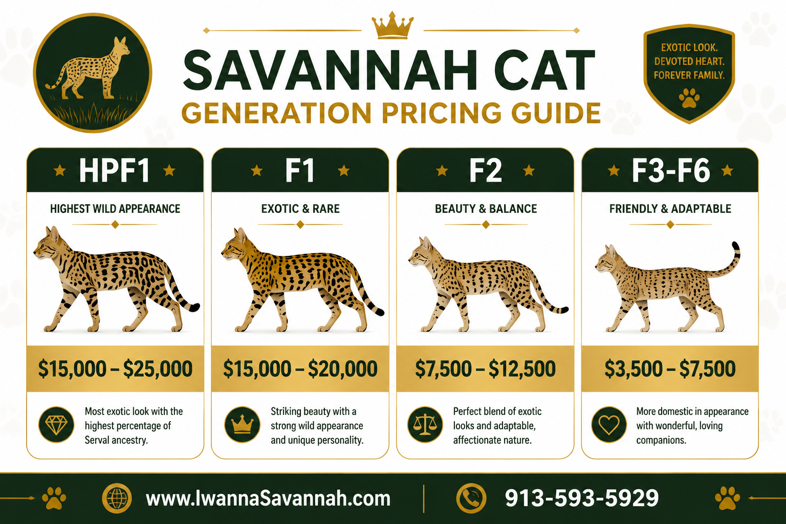 Detailed () infographic-style image showing a pricing tier chart for Savannah cat generations, with clear labeled columns