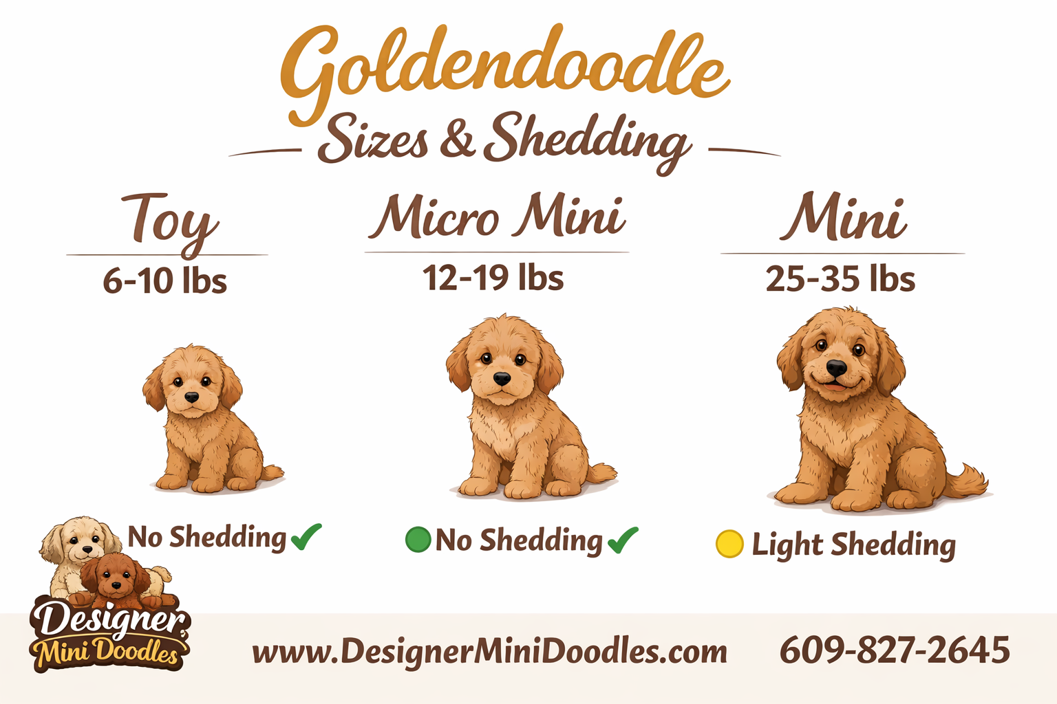 micro teacup goldendoodle puppies