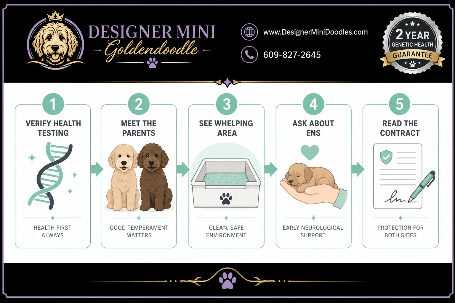 mini goldendoodle Arizona