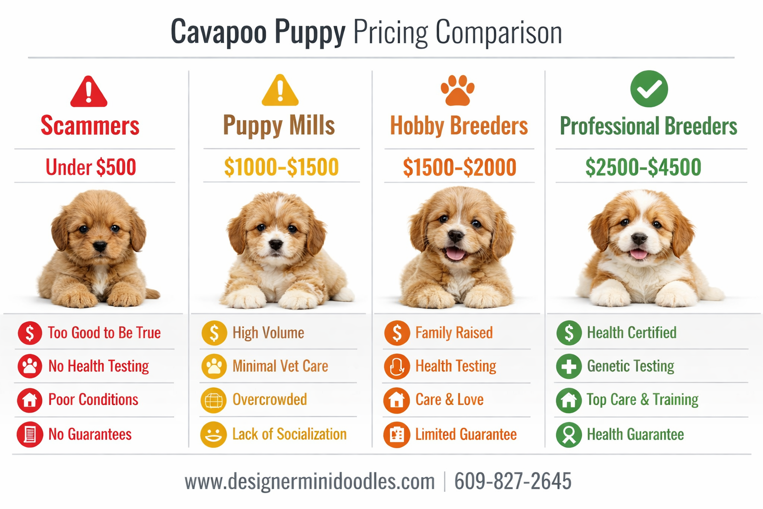 Cavapoo puppy pricing