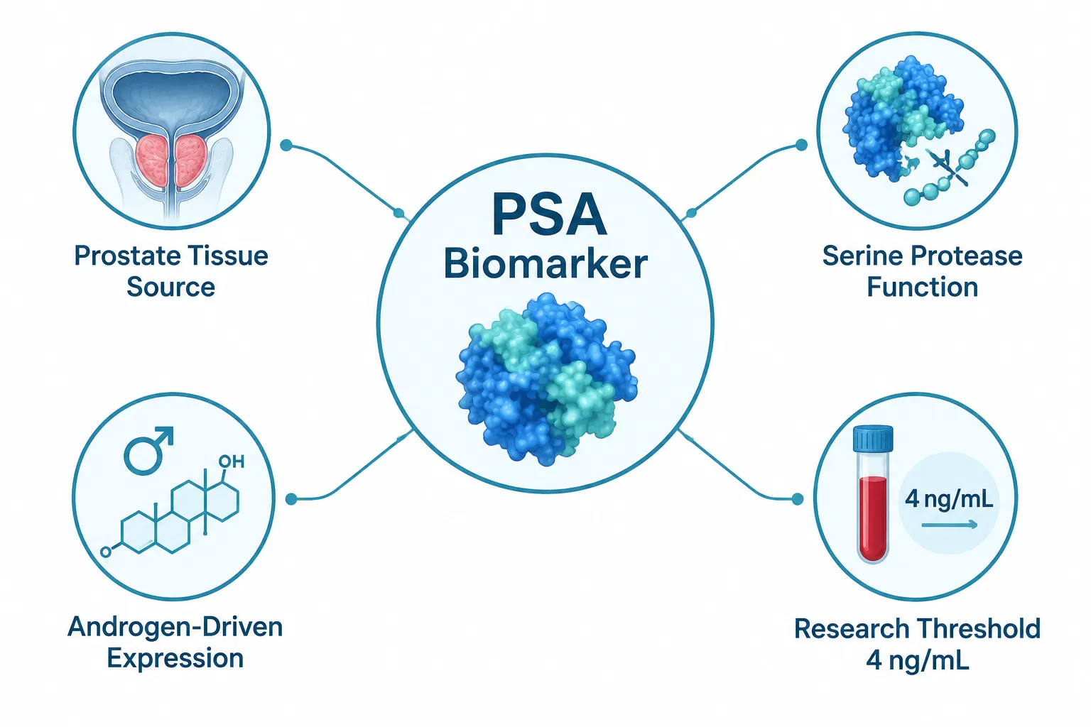 What PSA Is and Why It Matters in Peptide Hormone Research