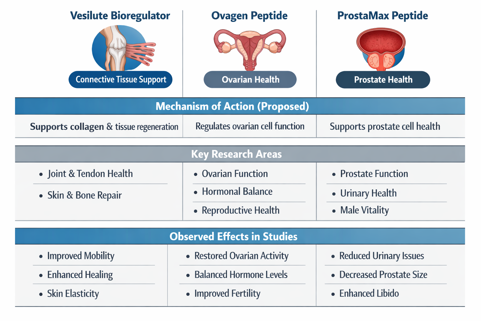 A comparison table or chart visually representing the distinguishing features and research applications of vesilute bioregulator, ovagen pep