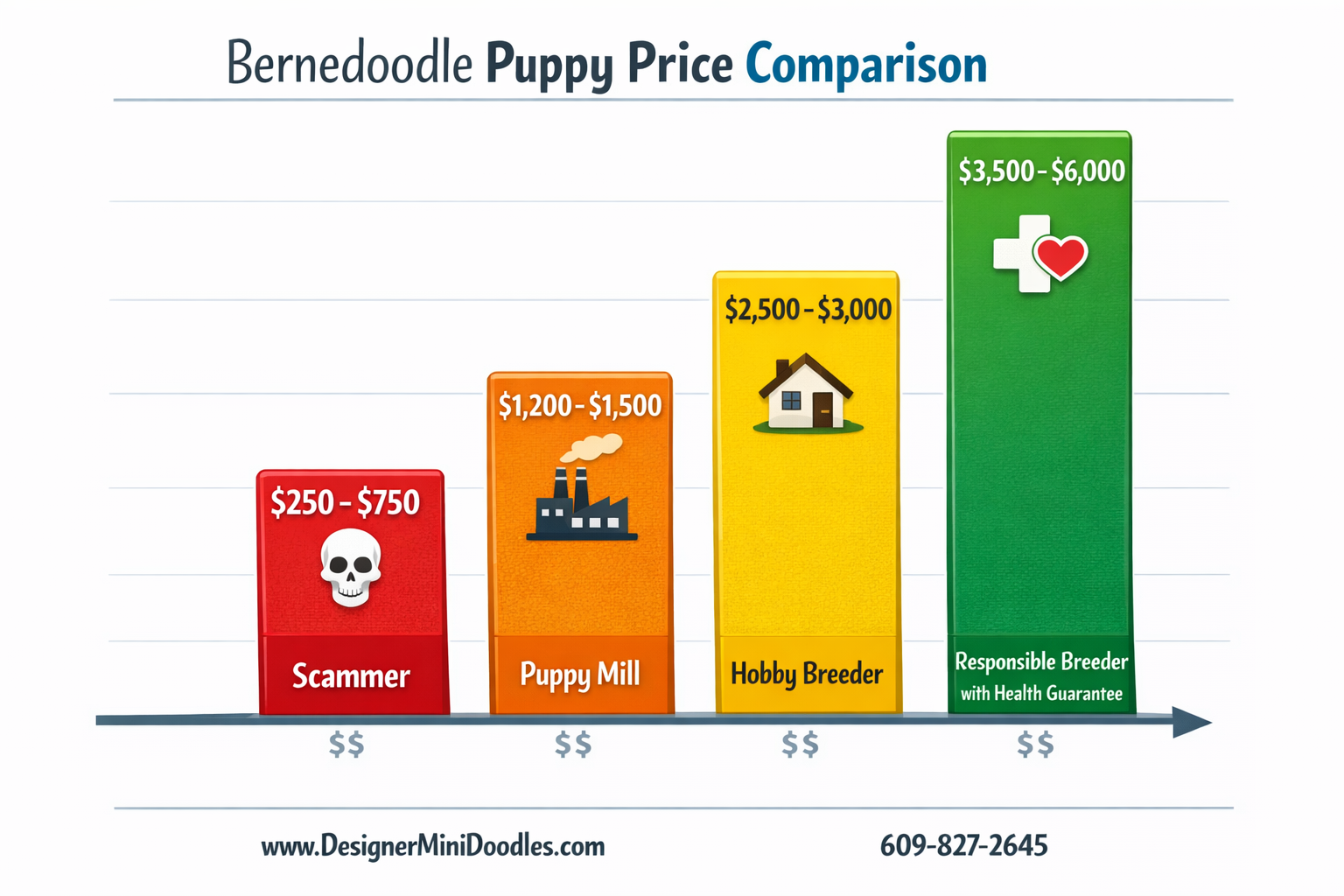 () creative price comparison bar graph infographic showing four tiers of bernedoodle puppy pricing. Left bar labeled
