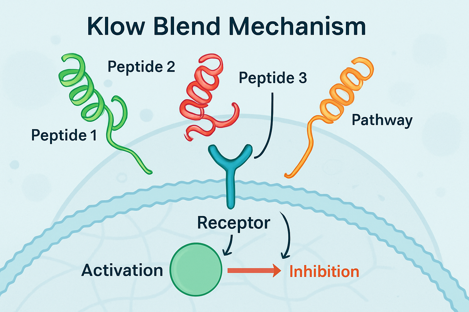 A detailed infographic illustrating the molecular interactions within the Klow blend mechanism. The image should feature a stylized represen
