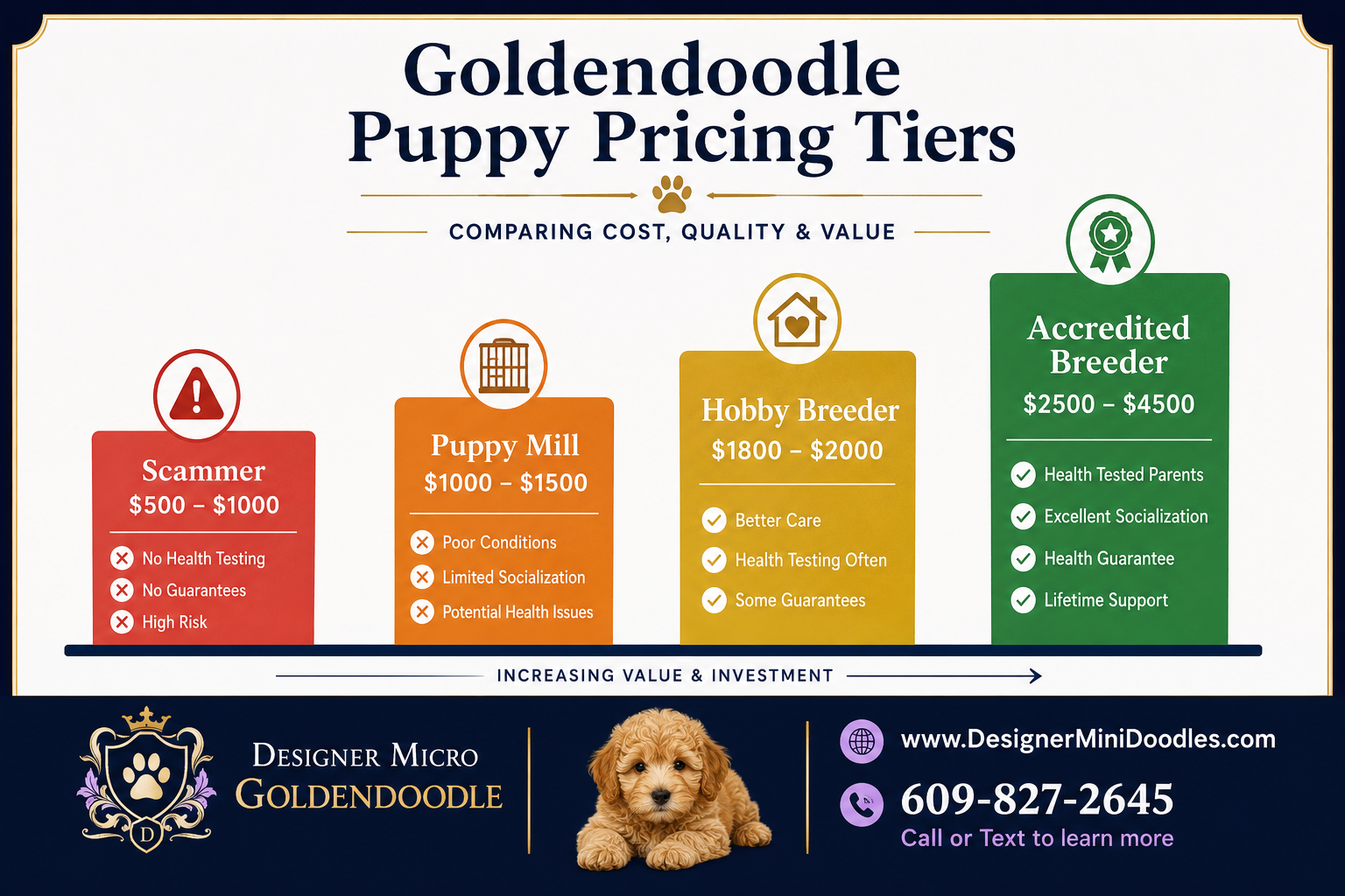 Red Flags to Avoid With Goldendoodle Breeders