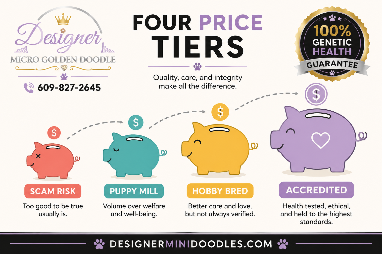 Micro Goldendoodle Price Range Florida (and Why the Numbers Vary So Much)