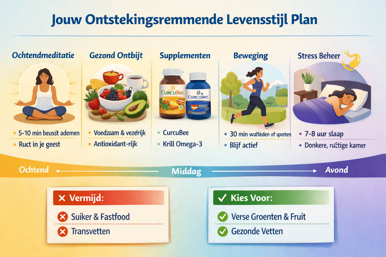 Practical lifestyle infographic (1536x1024) showing daily routine timeline for anti-inflammatory living. Top header 'Jouw Ontstekingsremmend