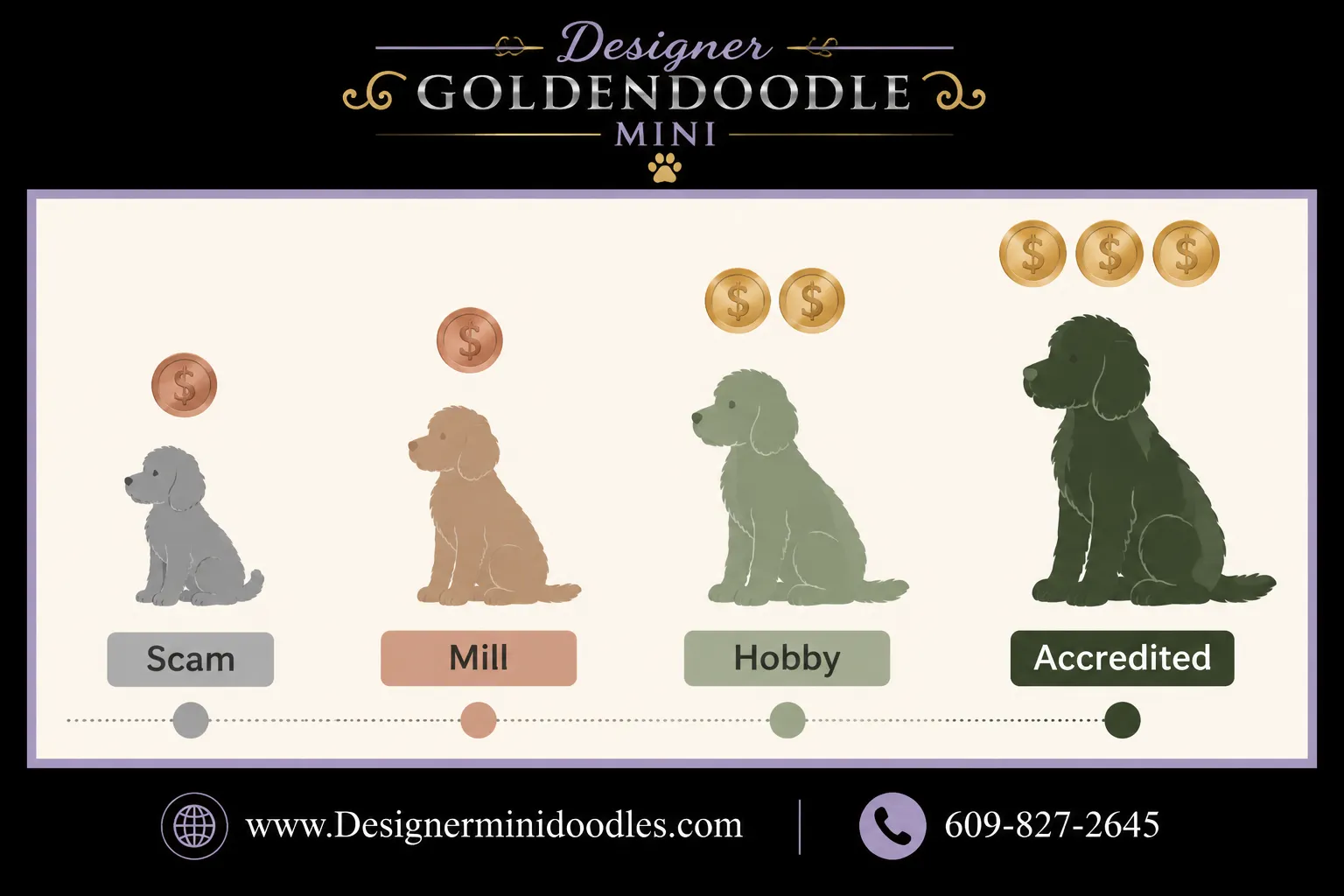 Mini goldendoodle price Arizona