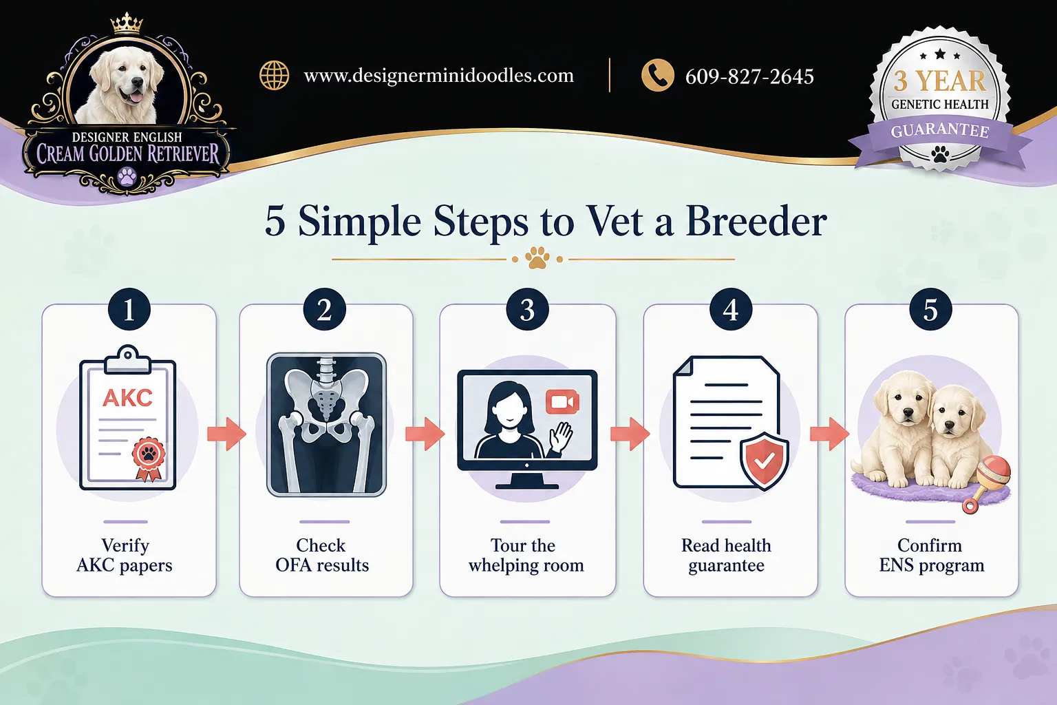 english cream golden retrievers breeders
