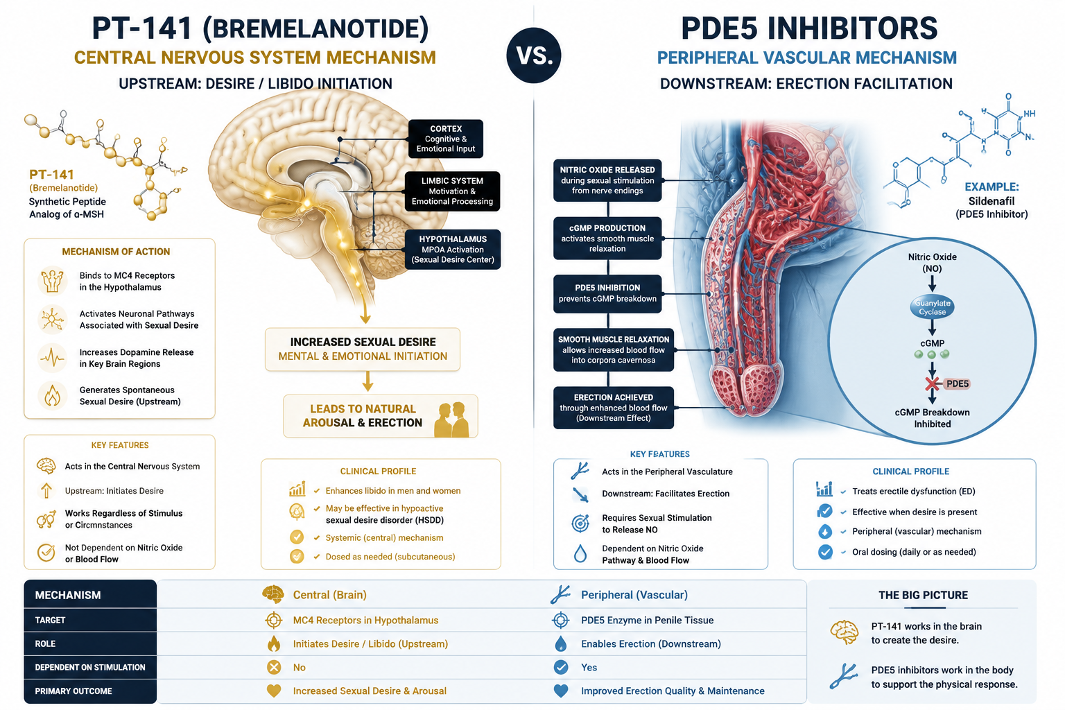 Central vs. Peripheral: A Mechanistic Distinction That Matters