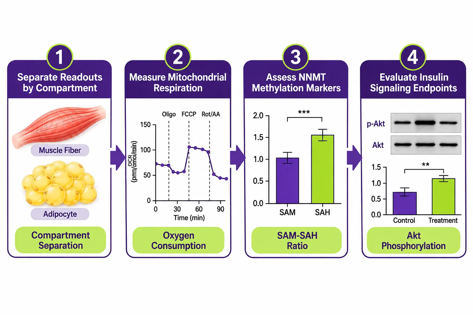 Integrating Both Compounds: Pathway Complementarity and Experimental Design Considerations
