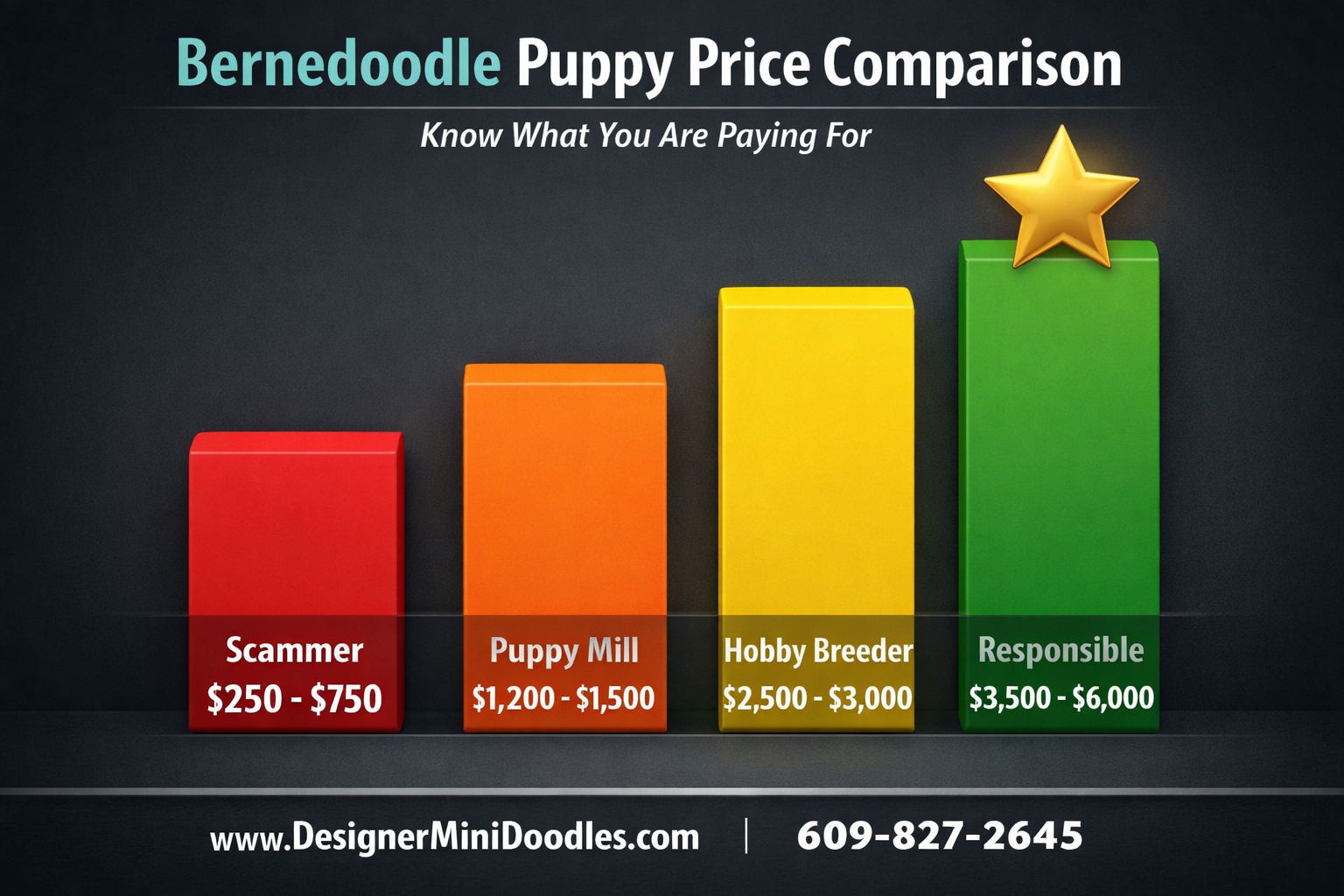 () professional bar graph infographic showing bernedoodle puppy price comparison across breeder types. Four vertical bars in