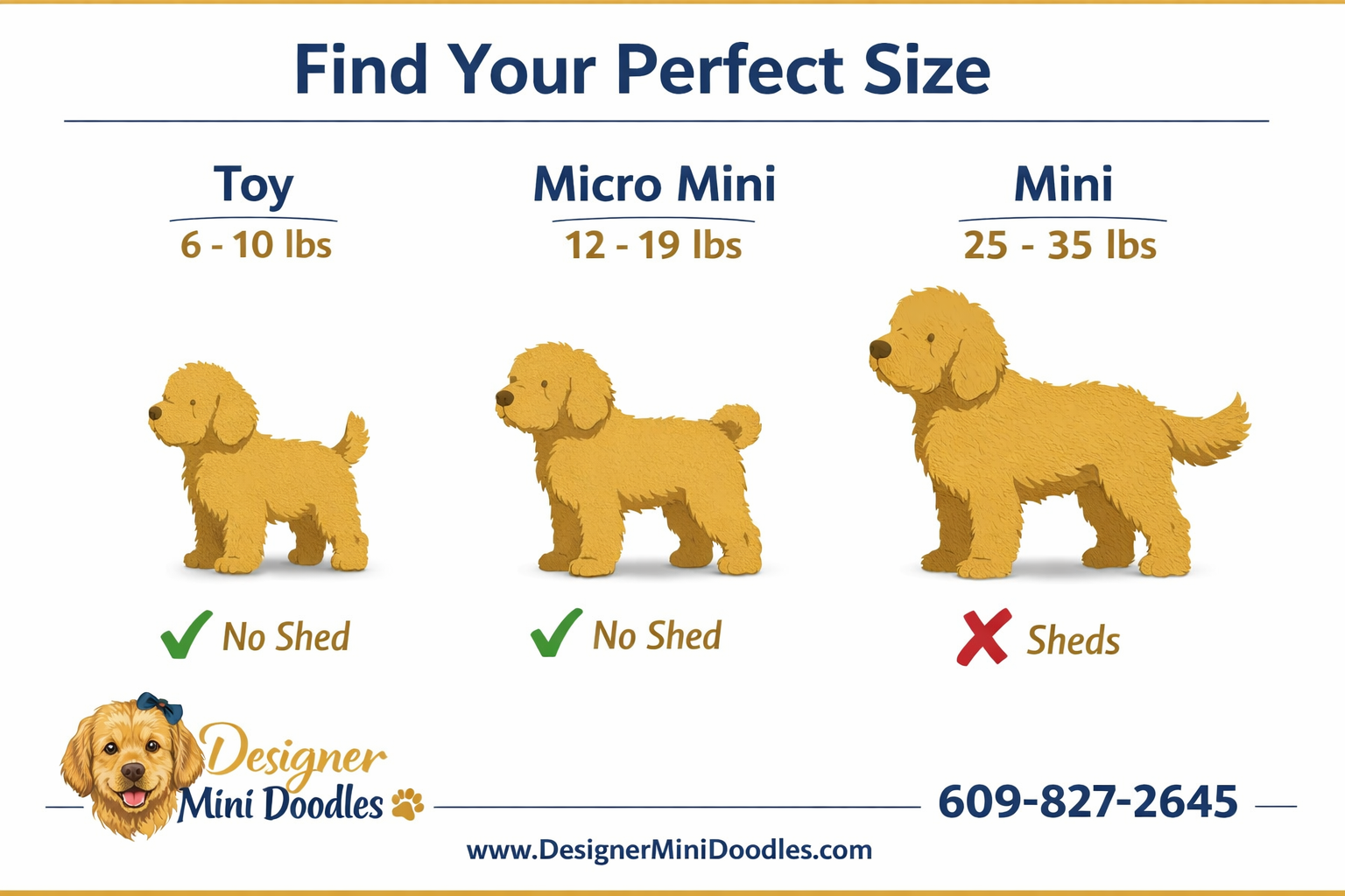 teacup goldendoodle puppies near me