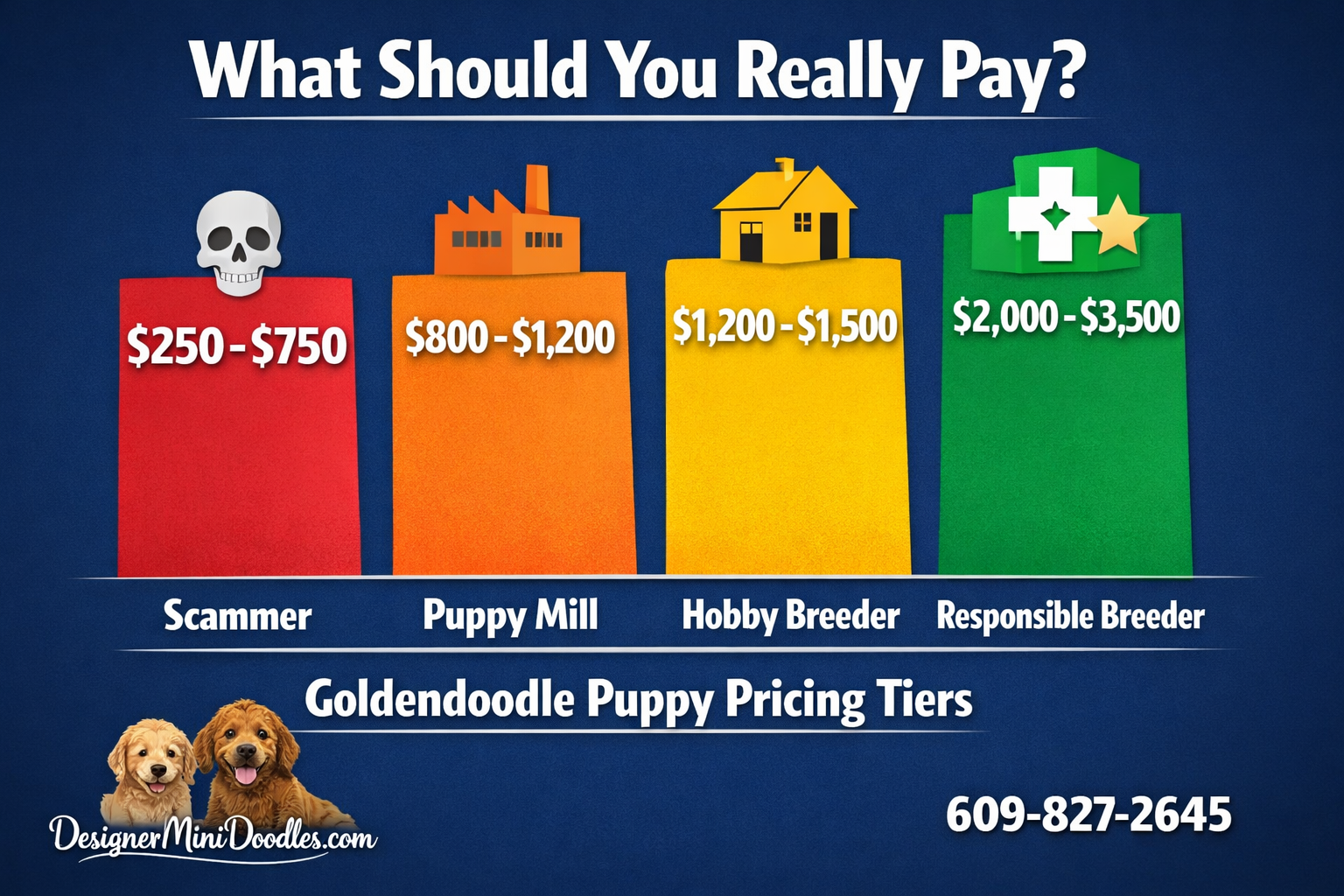 teacup goldendoodle puppy price