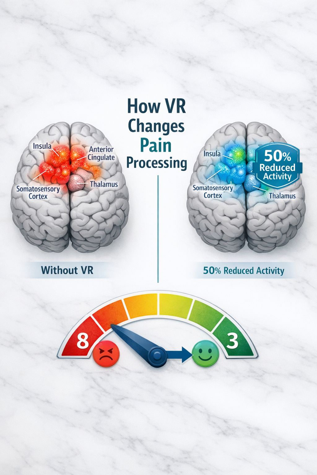 () detailed infographic showing brain scan comparison with two side-by-side brain illustrations. Left brain shows
