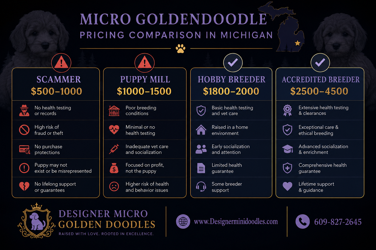 Micro Goldendoodle Puppy price