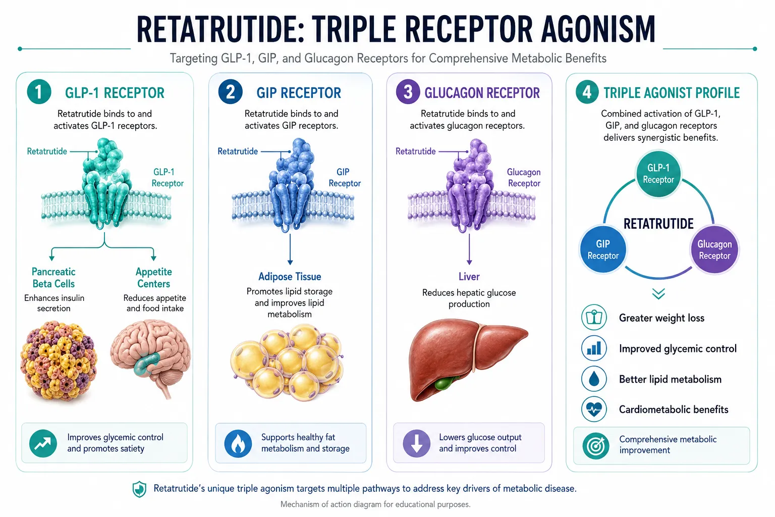 Retatrutide's Molecular Profile and Why Route Matters
