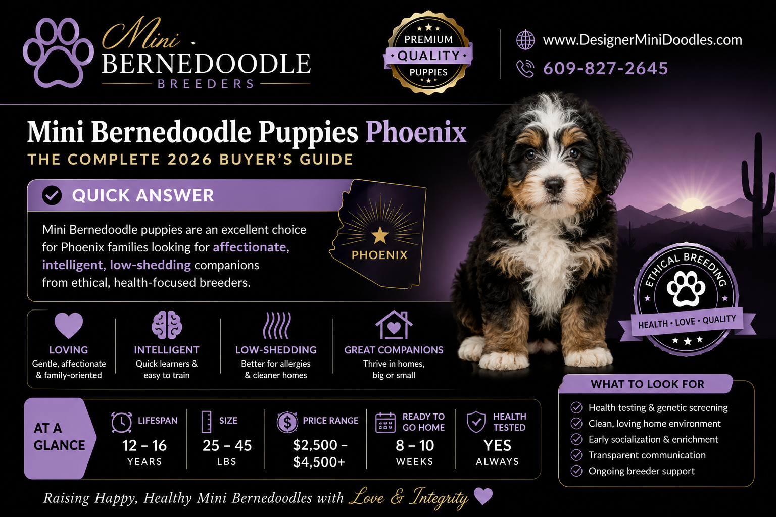 mini bernedoodle puppies Phoenix