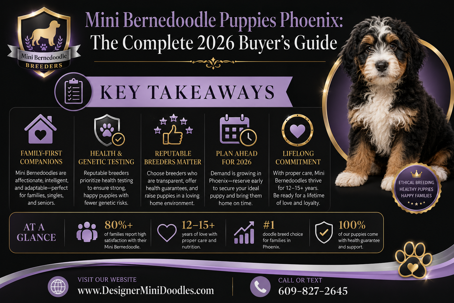 mini bernedoodle puppies Phoenix