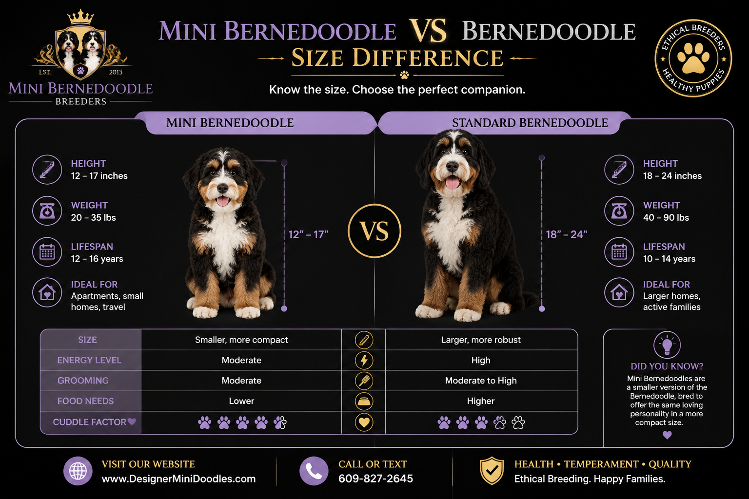 Mini bernedoodle: not a good fit for what type of owner?