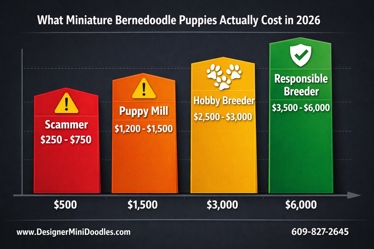 () creative price comparison bar graph infographic with four vertical bars showing puppy pricing tiers: red bar labeled