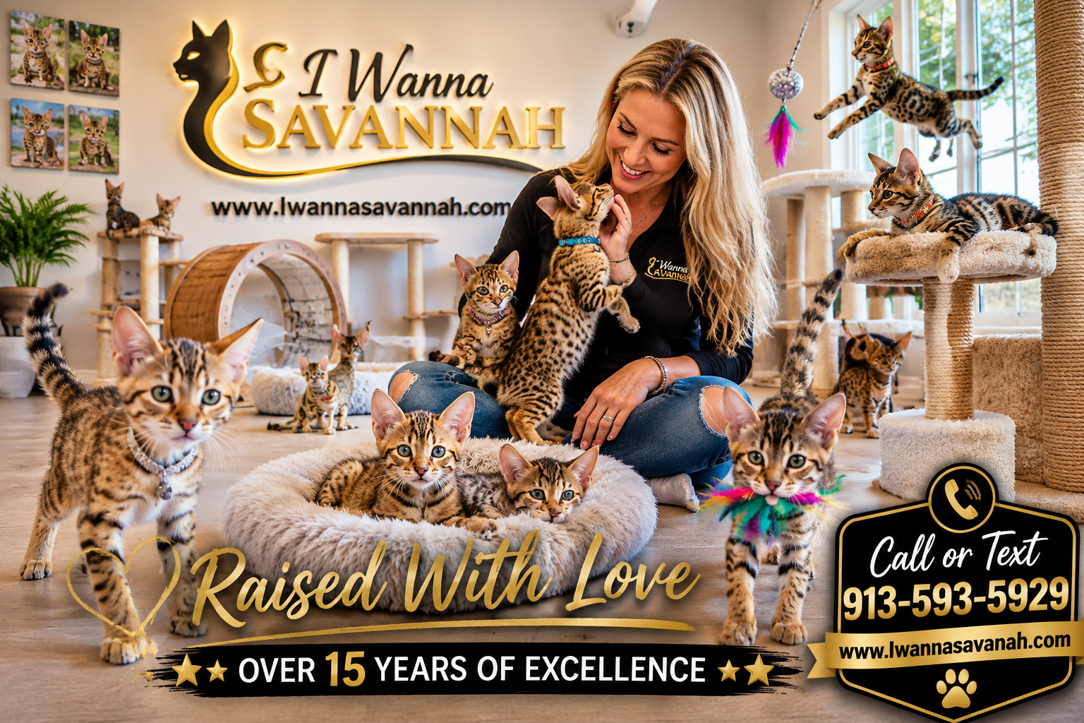 What to Expect When You Contact a Savannah Cat Breeder Near Me