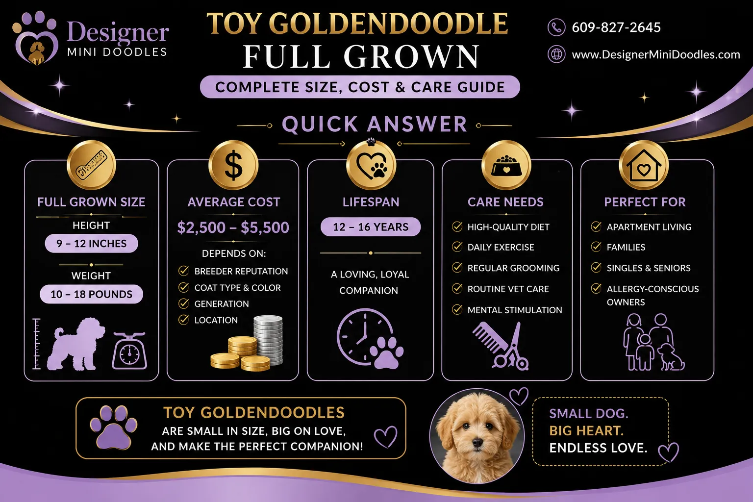 toy goldendoodle full grown