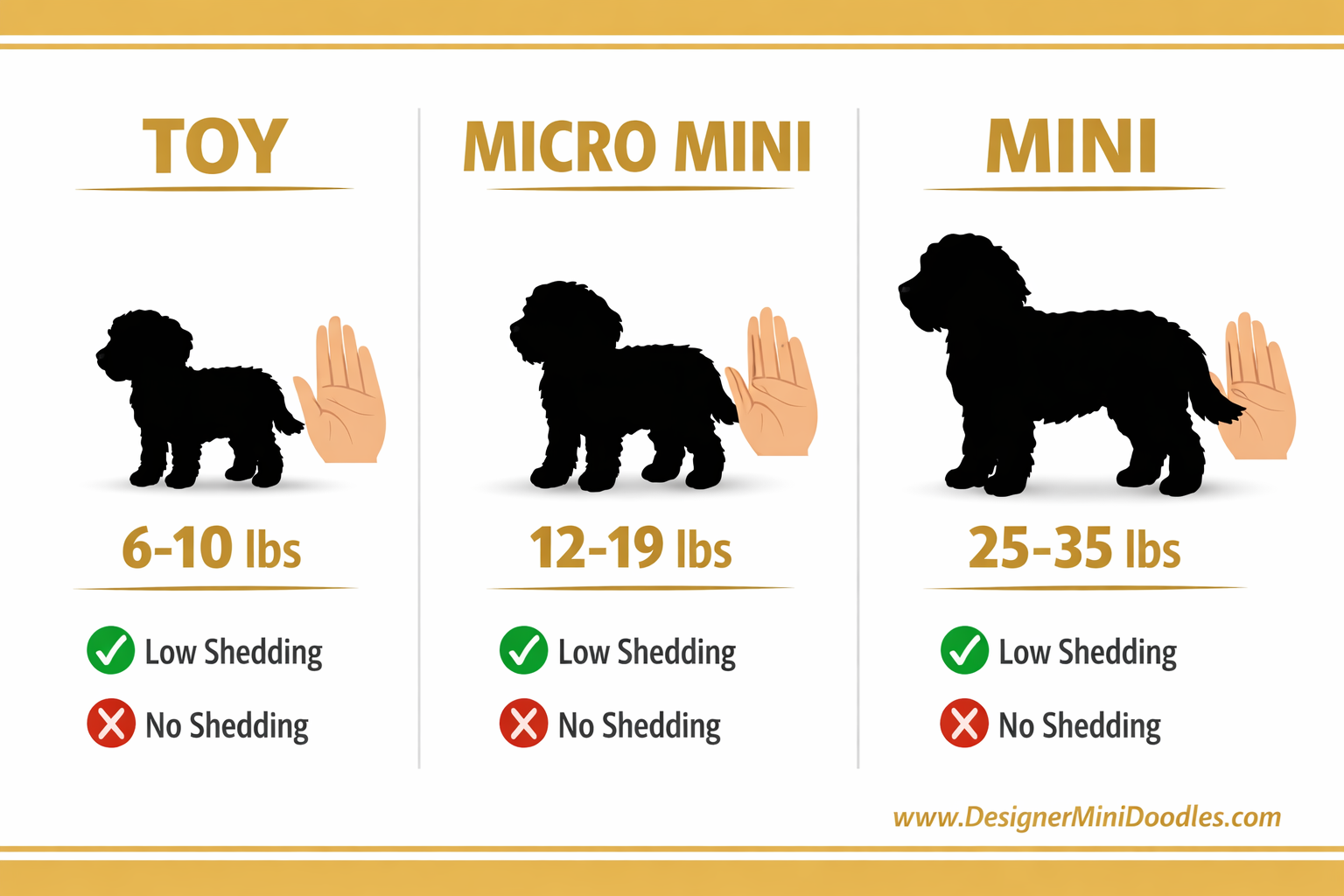 () editorial infographic showing three goldendoodle size categories side by side: Toy (6-10 lbs), Micro Mini (12-19 lbs),