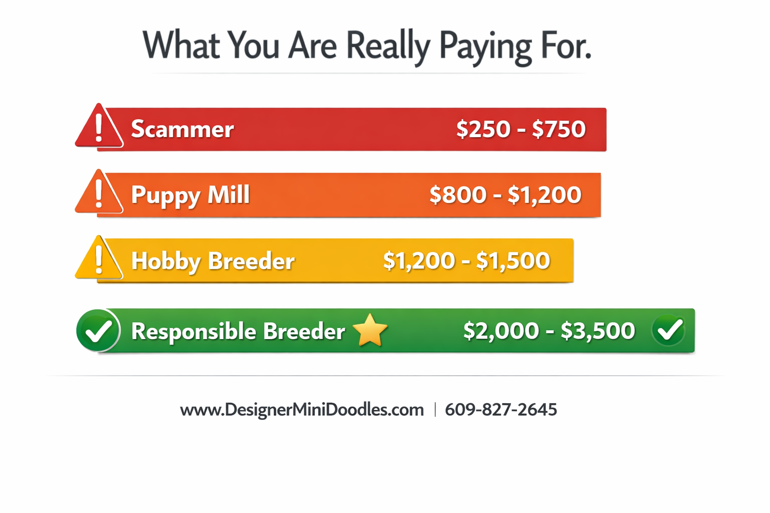 () price comparison bar chart graphic showing four price tiers: Scammer $250-$750 (red bar), Puppy Mill $800-Goldendoodle price comparison chart by breeder type,200 (orange