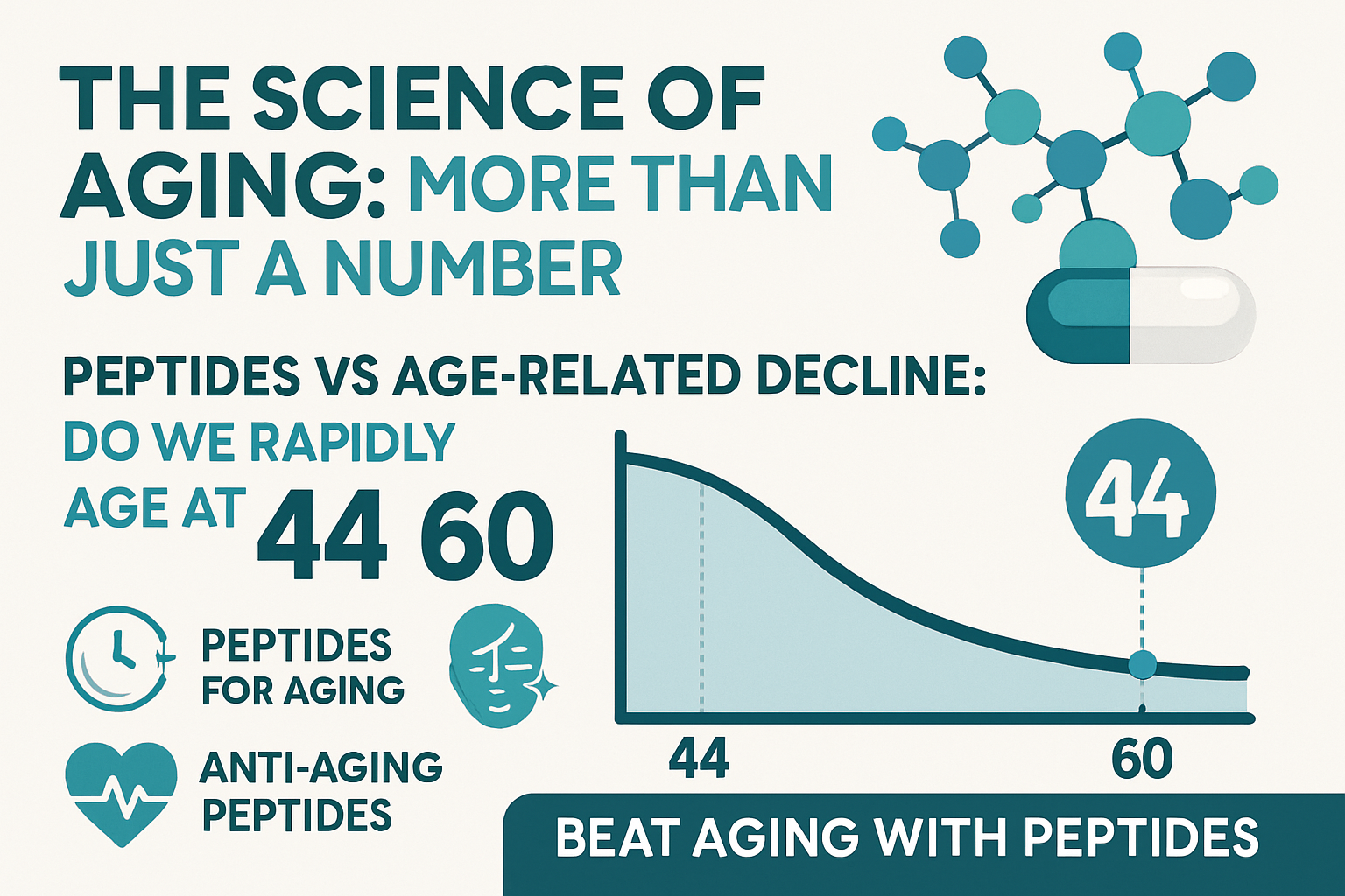 Professional landscape infographic (1536x1024) for article "Peptides vs Age-Related Decline: Do We Rapidly Age at 44 and 60? Exploring Pepti