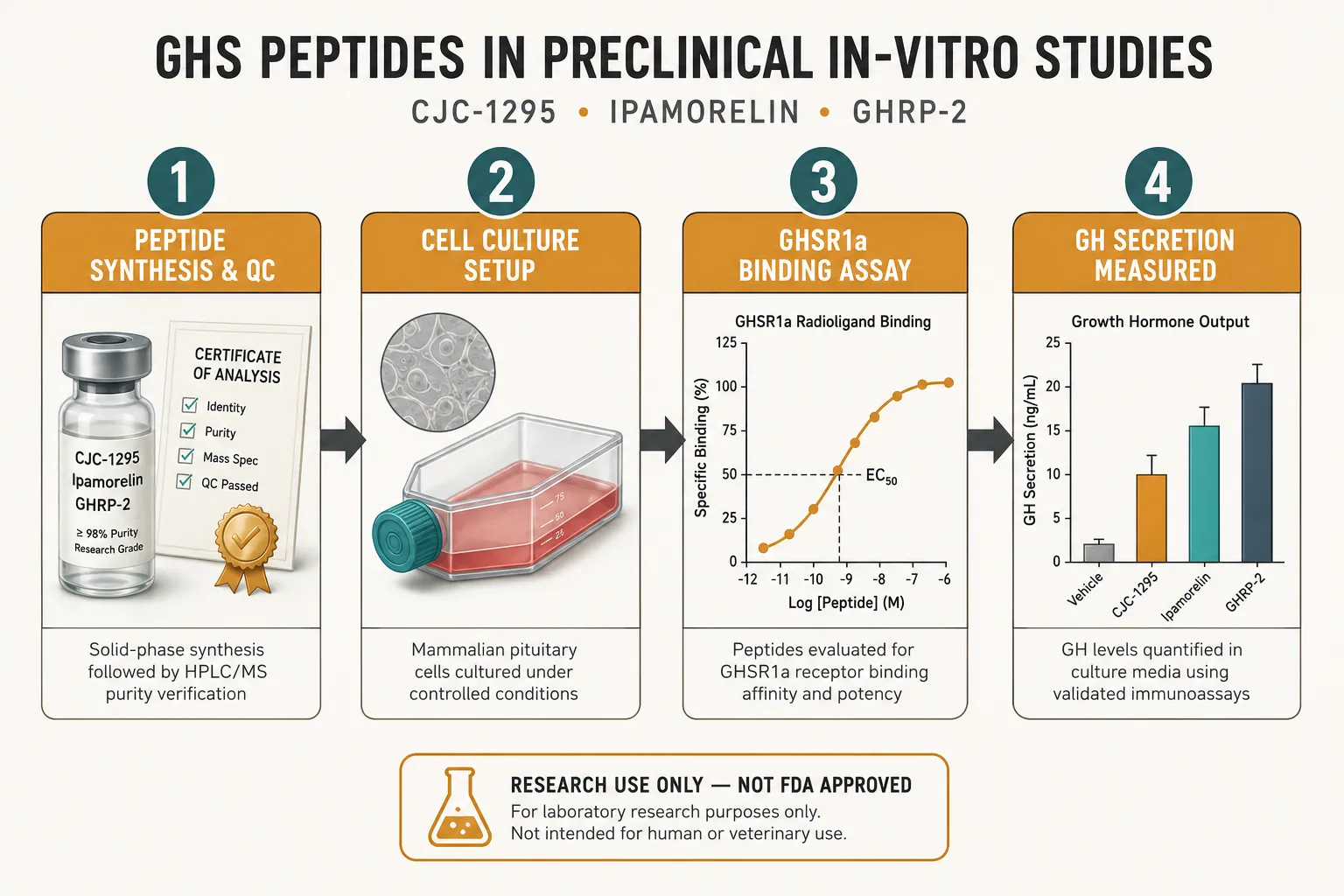 Peptides in Basic Cell Biology Across Animal and Plant Systems