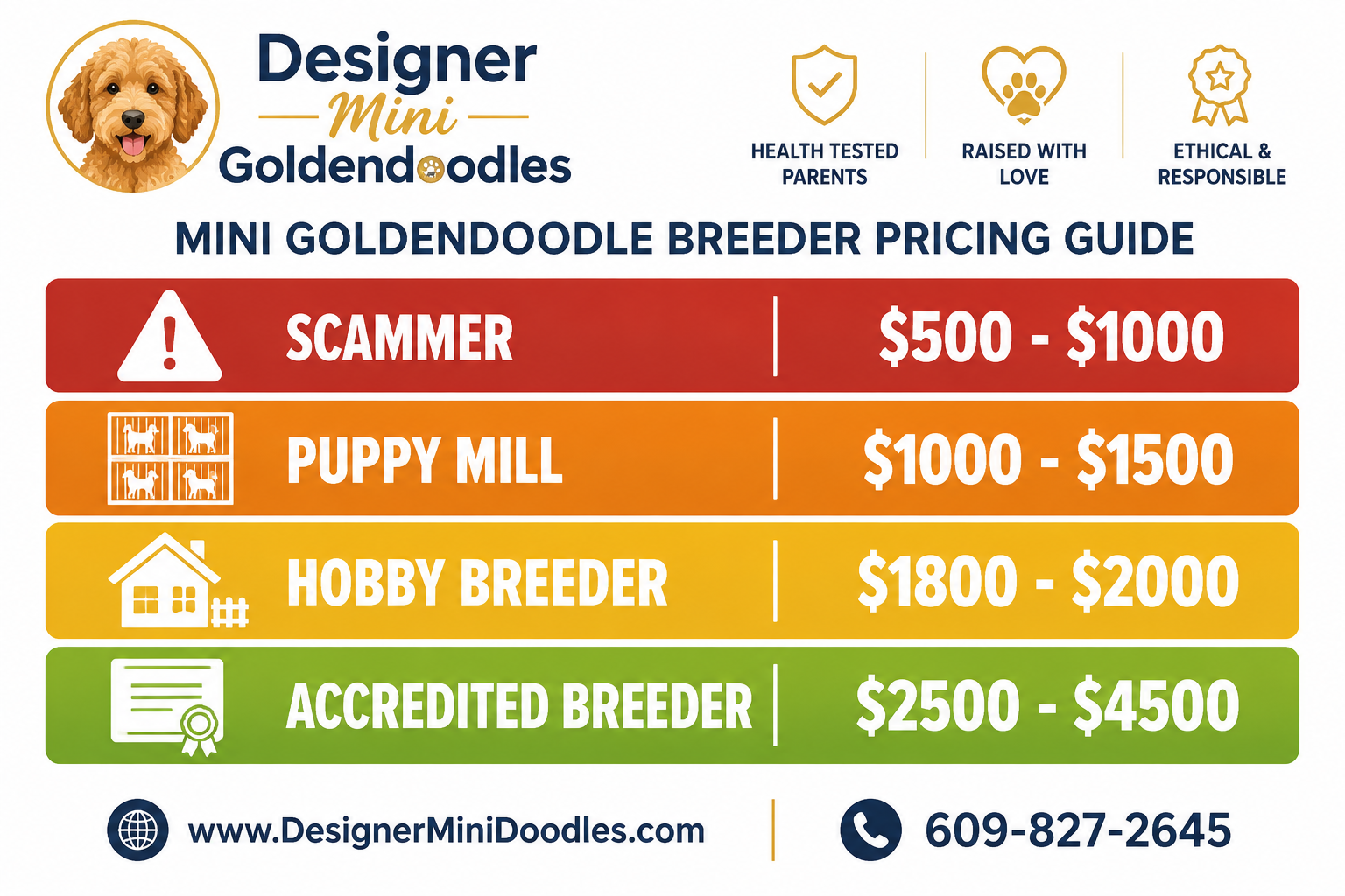 How Much Does a Mini Goldendoodle Cost?