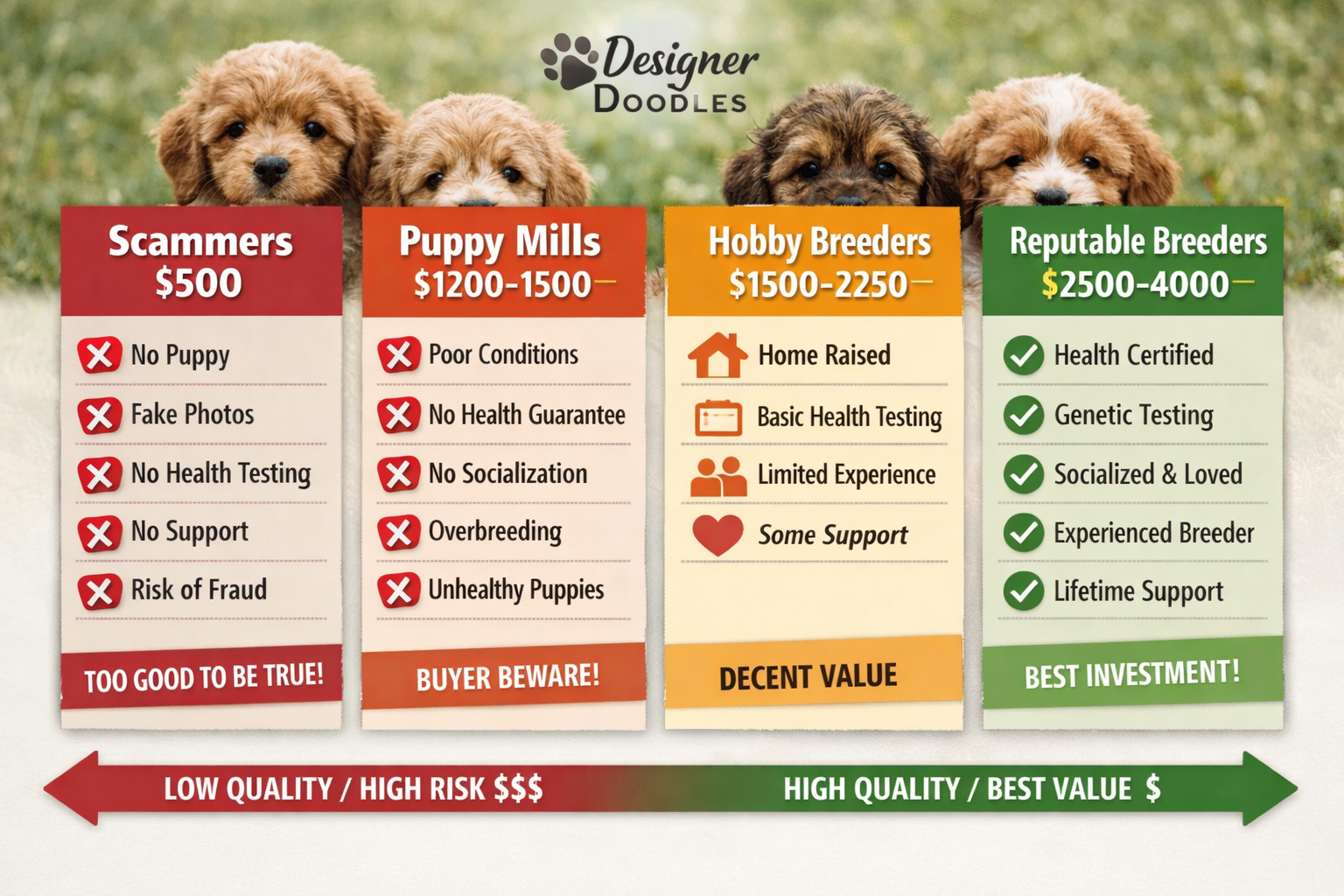 Detailed infographic-style image showing price comparison chart with four distinct columns labeled 'Scammers $500', 'Puppy Mills Section Image200-1500'