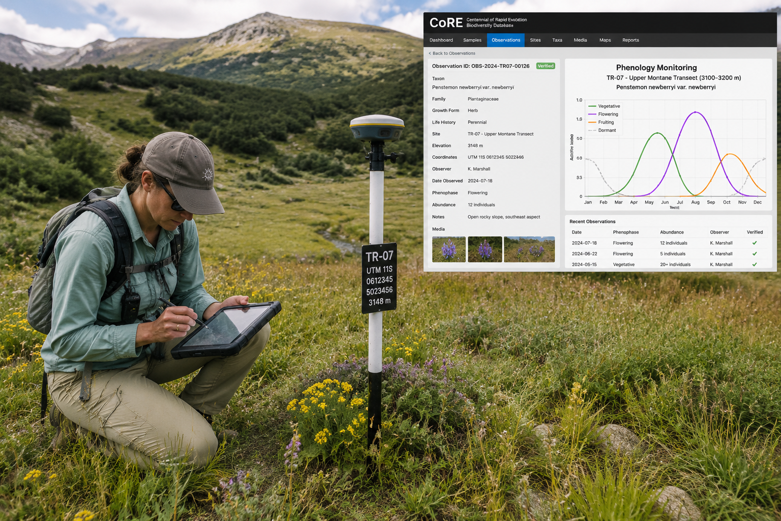 Species Distribution Shifts Due to Climate Change: Tracking Protocols for Biodiversity Surveyors in 2026