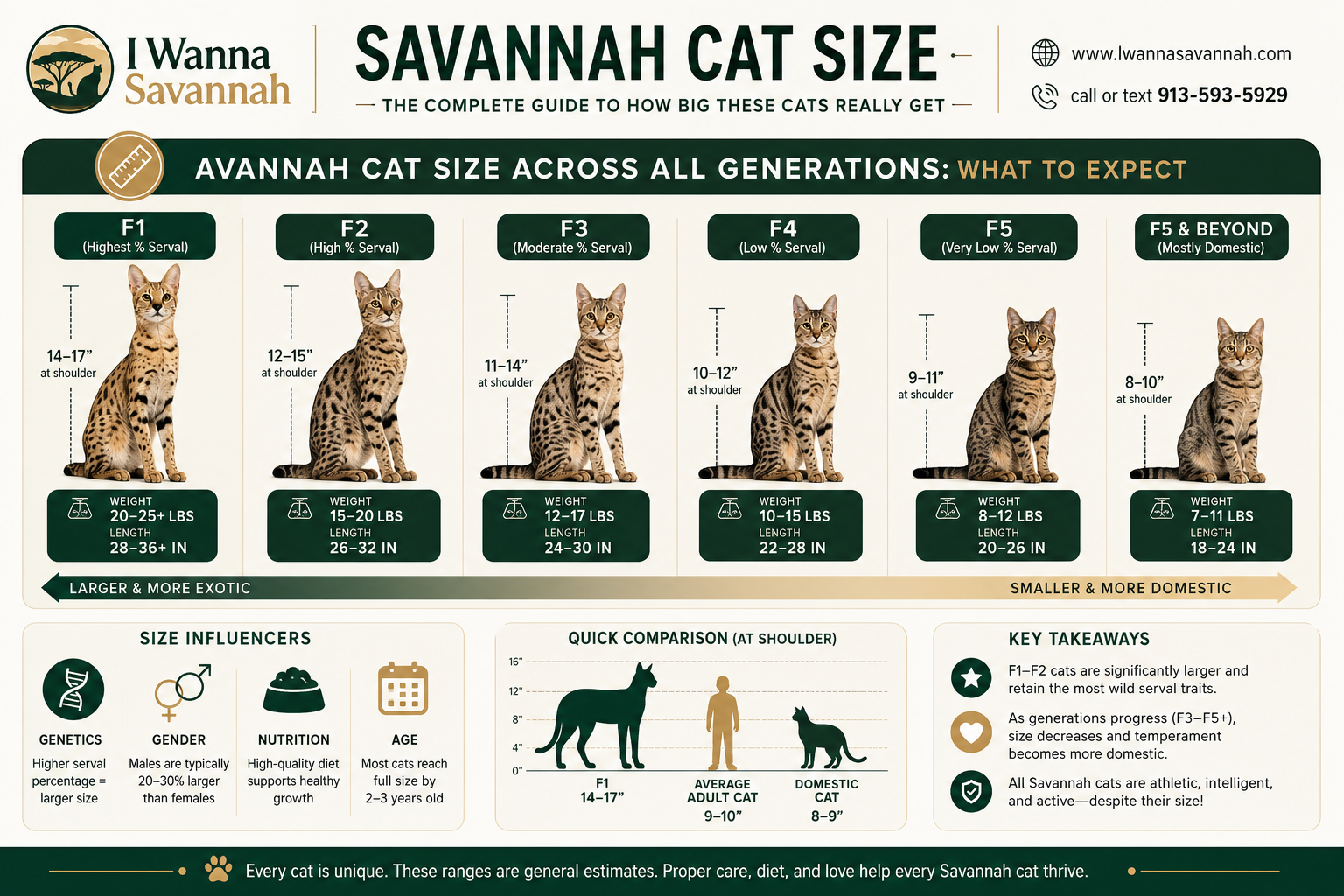 Savannah Cat Pricing by Generation: You Get What You Pay For