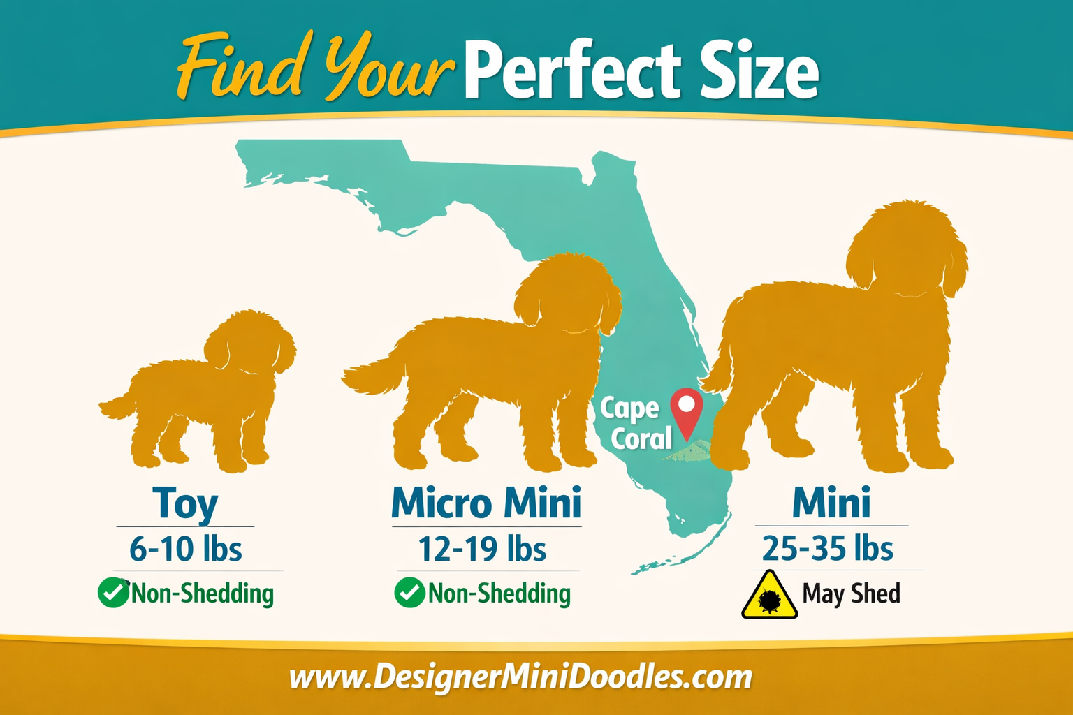 () infographic-style image showing three goldendoodle size silhouettes side by side labeled Toy 6-10 lbs, Micro Mini 12-19