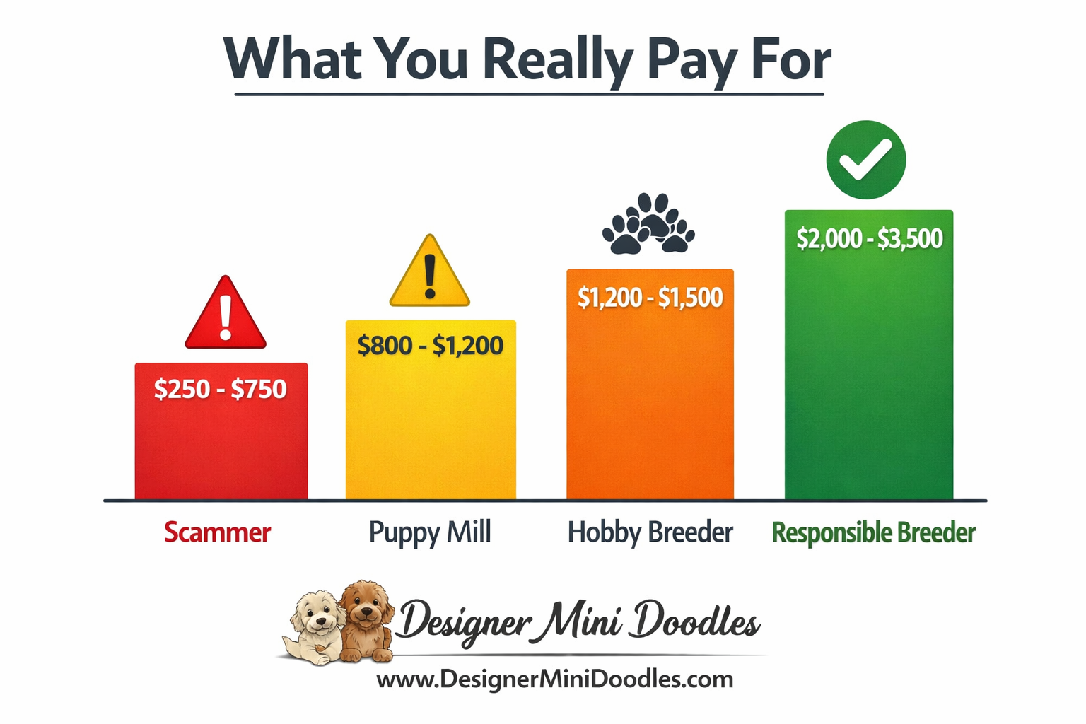 () price comparison bar chart infographic with four bars labeled Scammer $250-$750, Puppy Mill $800-Goldendoodle puppy price comparison infographic with bar chart,200, Hobby Breeder