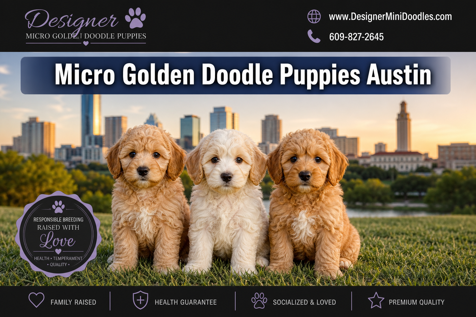 micro golden doodle puppies Austin