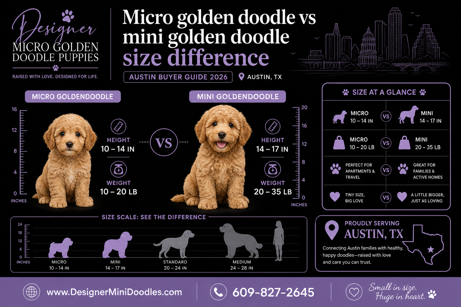 micro golden doodle puppies Austin