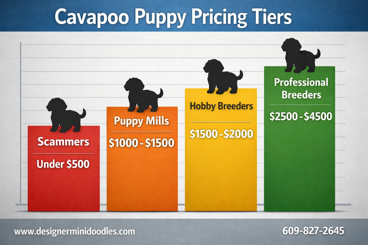 Cavapoo puppy scams