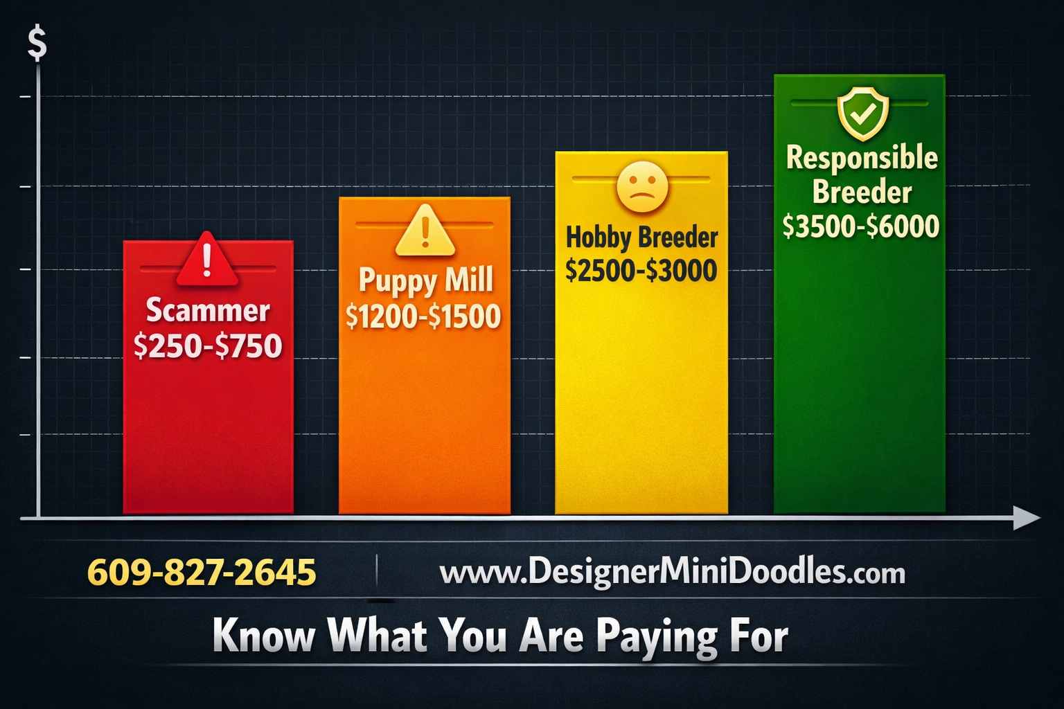 () creative price comparison bar graph infographic showing four pricing tiers for miniature Bernese mountain dog puppies.