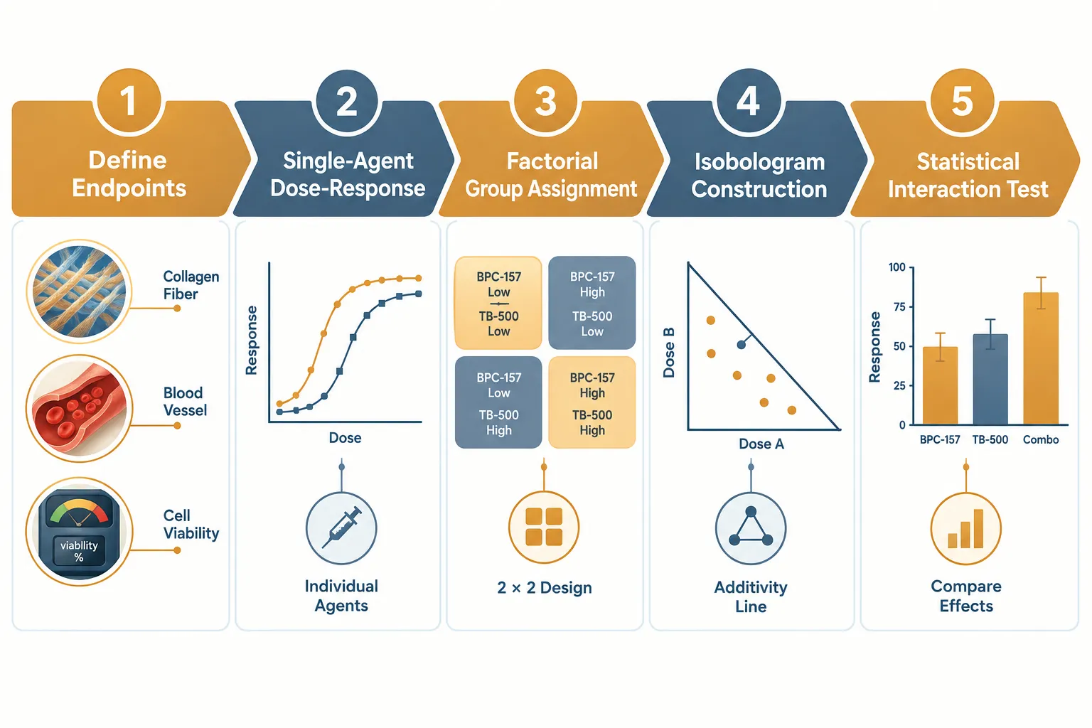 Applying the Framework: Practical Steps for Researchers