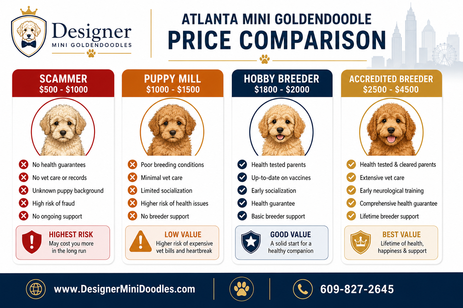 Mini Goldendoodle Puppies for Sale Atlanta Georgia: Where to Start