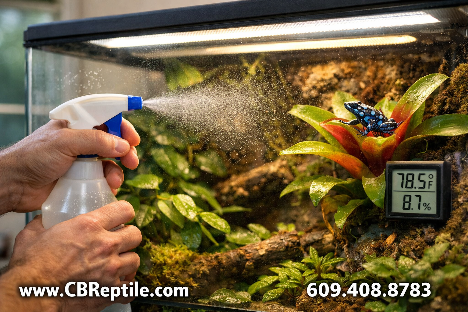 Detailed () image showing a reptile keeper's hands misting a planted vivarium with a spray bottle, temperature and humidity