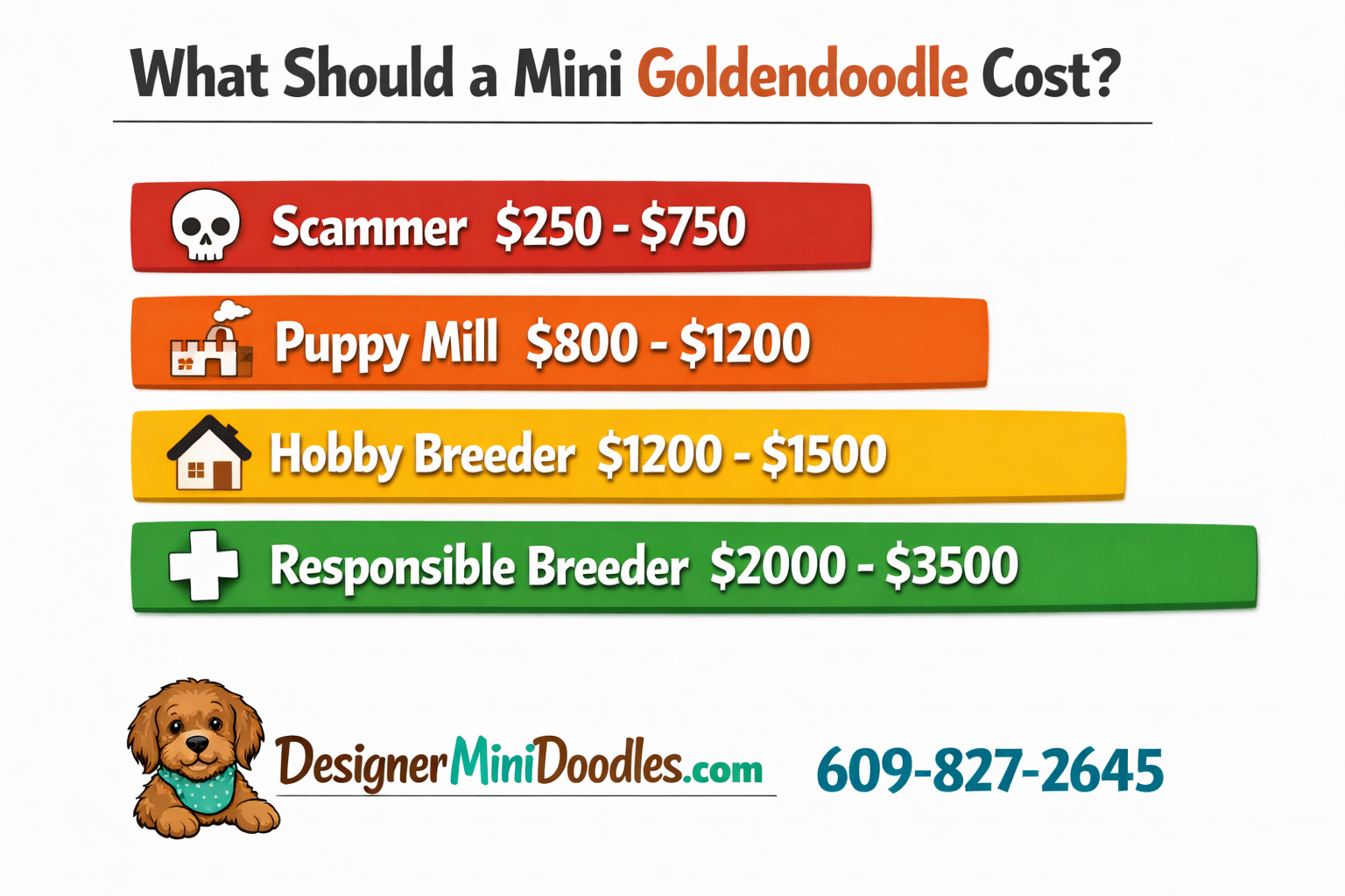 () image showing a price comparison bar chart for goldendoodle puppies with four tiers: Scammer ($250-750) in red, Puppy