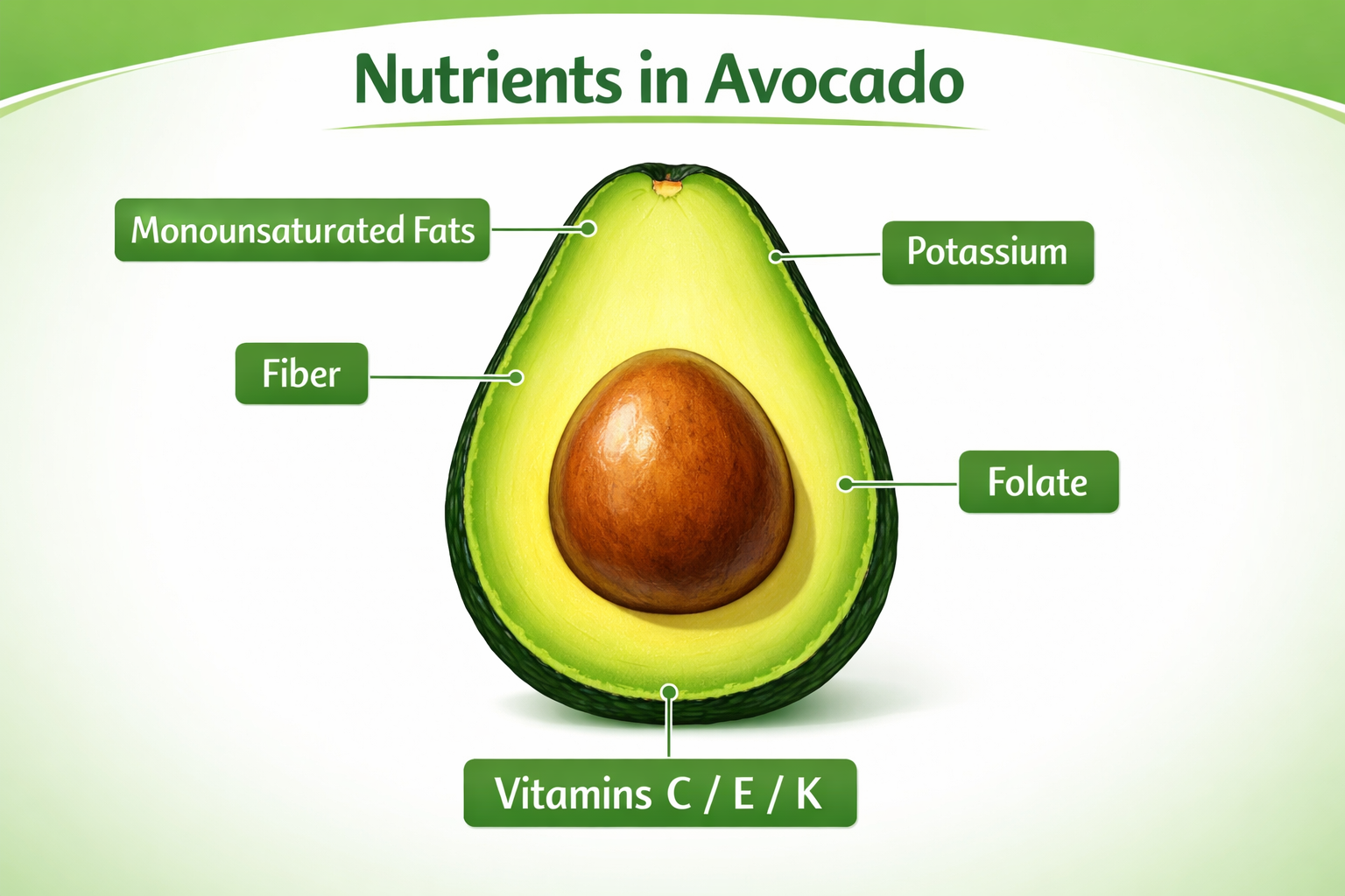 Clean medical-style infographic showing avocado cross-section with labeled nutrients: monounsaturated fats, fiber,