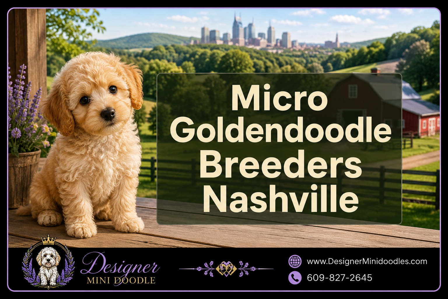 micro golden doodle breeders Nasville Tennessee